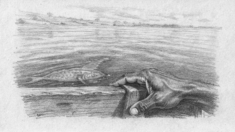 Dessin au crayon : une main se referme sur le bord d'une pirogue, un gros poisson deviné sous l'eau du fleuve Congo.