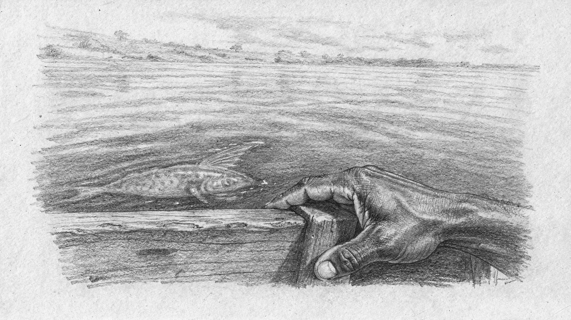 Le capitaine, le poisson qu’on ne garde jamais tout entier