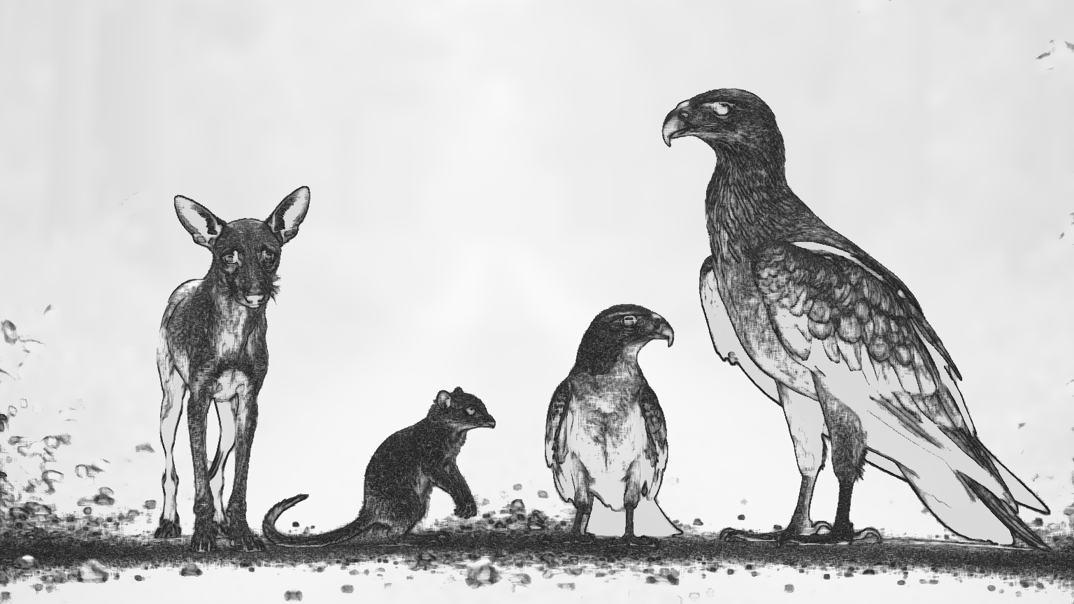 Illustration crayon — le chien, le rat palmiste, l'épervier et l'aigle sur le sentier (conte lokele)